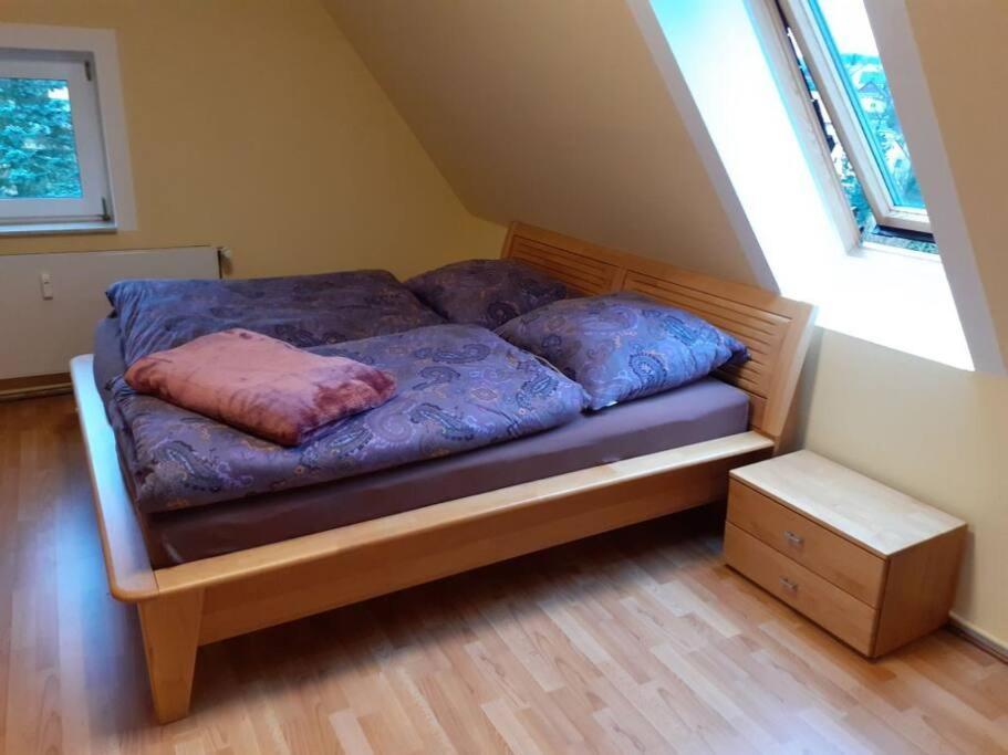 Schoene Und Ruhige Ferienwohnung In Ottendorf Sebnitz Exterior foto